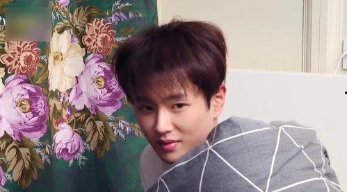 娱乐圈吃瓜李宏毅是谁啊,揭秘他的明星之路